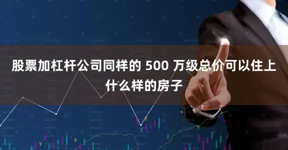 股票加杠杆公司同样的 500 万级总价可以住上什么样的房子