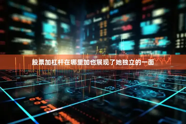 股票加杠杆在哪里加也展现了她独立的一面