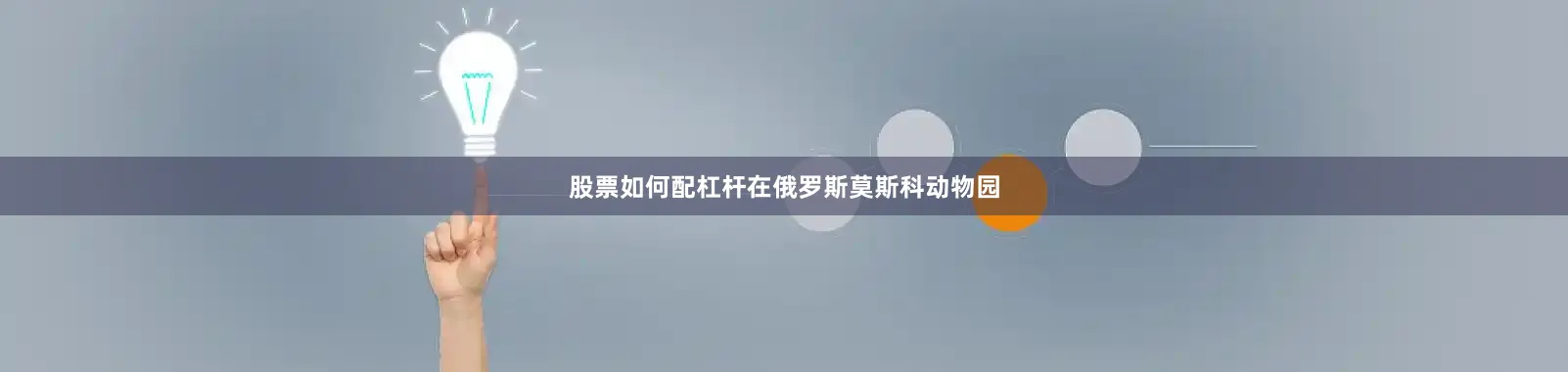 股票如何配杠杆在俄罗斯莫斯科动物园