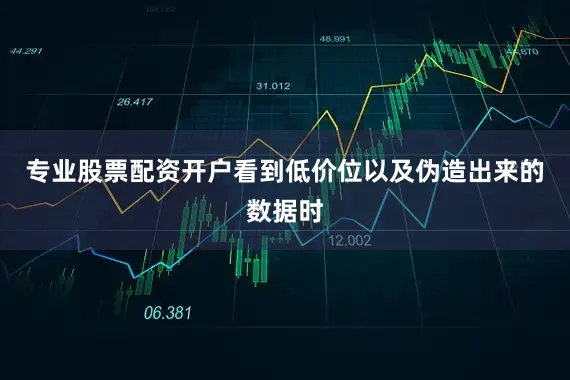 专业股票配资开户看到低价位以及伪造出来的数据时