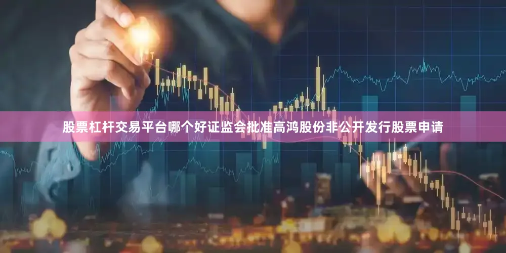 股票杠杆交易平台哪个好证监会批准高鸿股份非公开发行股票申请