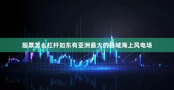 股票怎么杠杆　　如东有亚洲最大的县域海上风电场